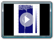 Boussinesq simulation 2D waves and surge entering canal