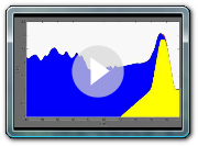 Boussinesq simulation of waves overtopping a simple levee